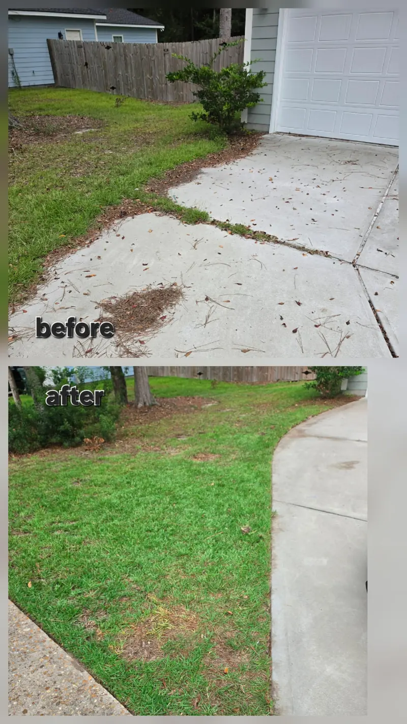 Before and after photo of a driveway and lawn edge: above, pine straw and leaves on the concrete with grass creeping over the edge; below, a clean concrete edge beside trimmed green lawn.