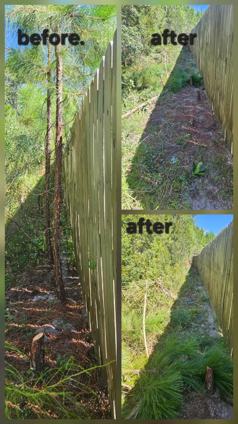 Before and after photo of a narrow strip along a wooden fence: small pine trees growing beside the fence on the left, and the same strip cleared of the trees in two photos on the right.