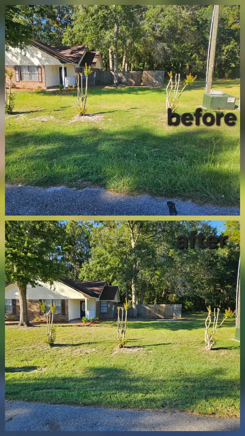 Before and after photo of a front yard with a brick house and several young trees: overgrown grass above, mowed lawn below.