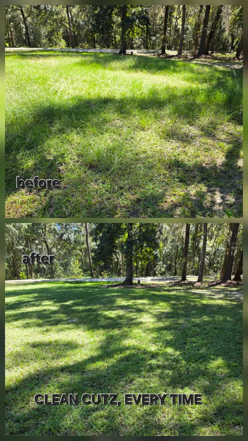 Before and after photo of a wooded lot with tall oaks: tall grass above, mowed lawn below, with the words "Clean Cutz, Every Time" written on the after photo.